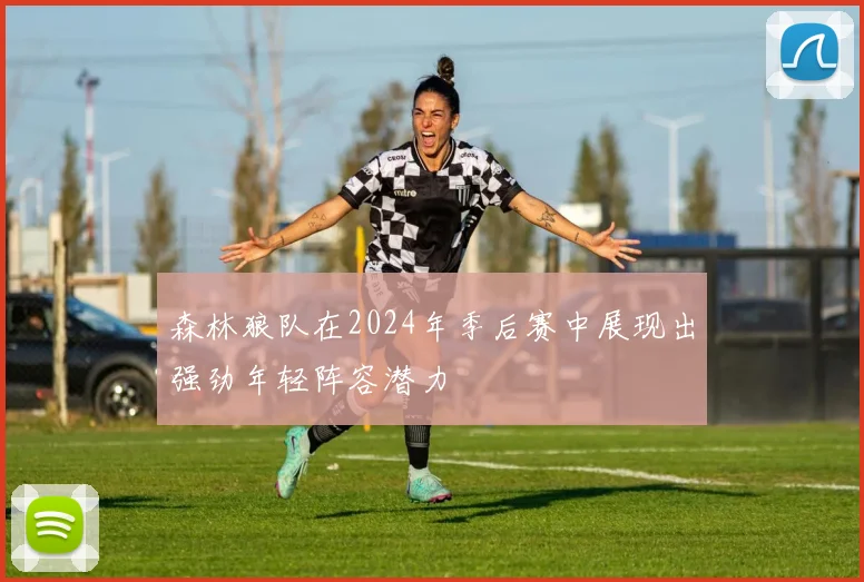 森林狼队在2024年季后赛中展现出强劲年轻阵容潜力